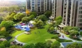 成都公园舆论爆料案件最新,真相与争议交织的公共事件